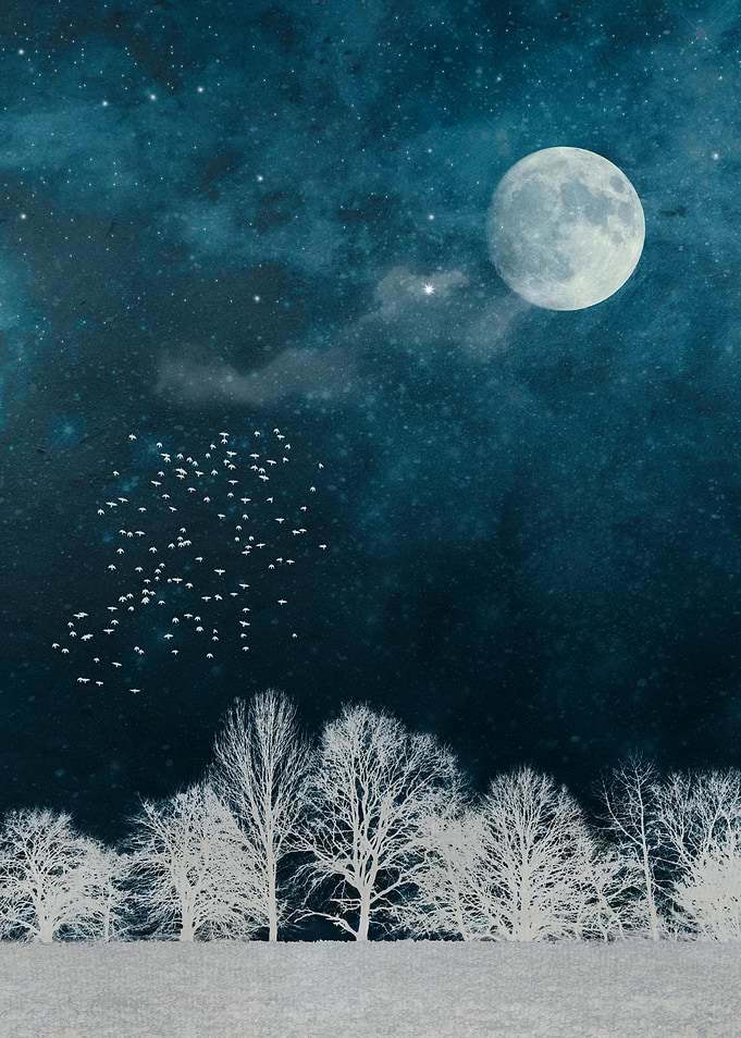 Nightscape in Blue and White