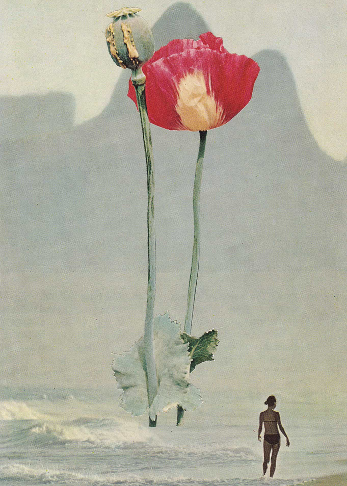 High [collage]