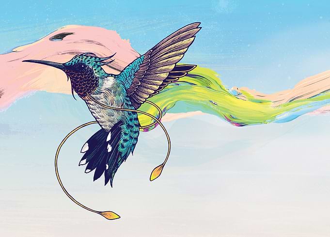 Hummingbird