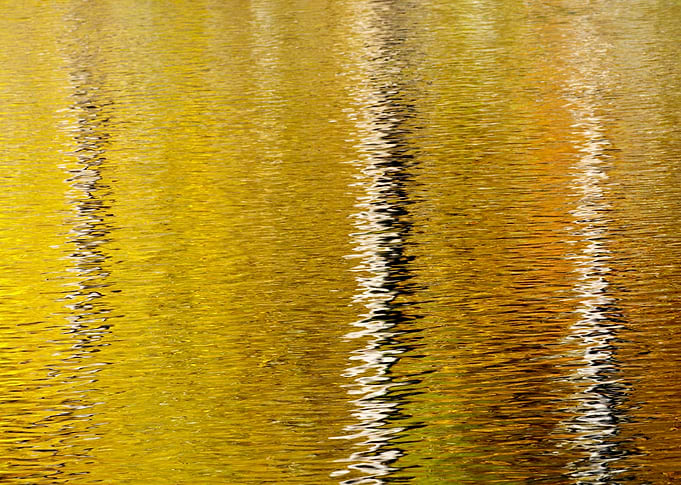 Lines of Reflection Abstract