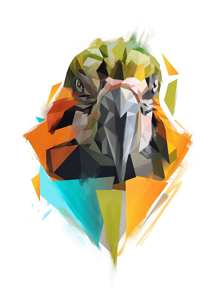 Ara - Parrot