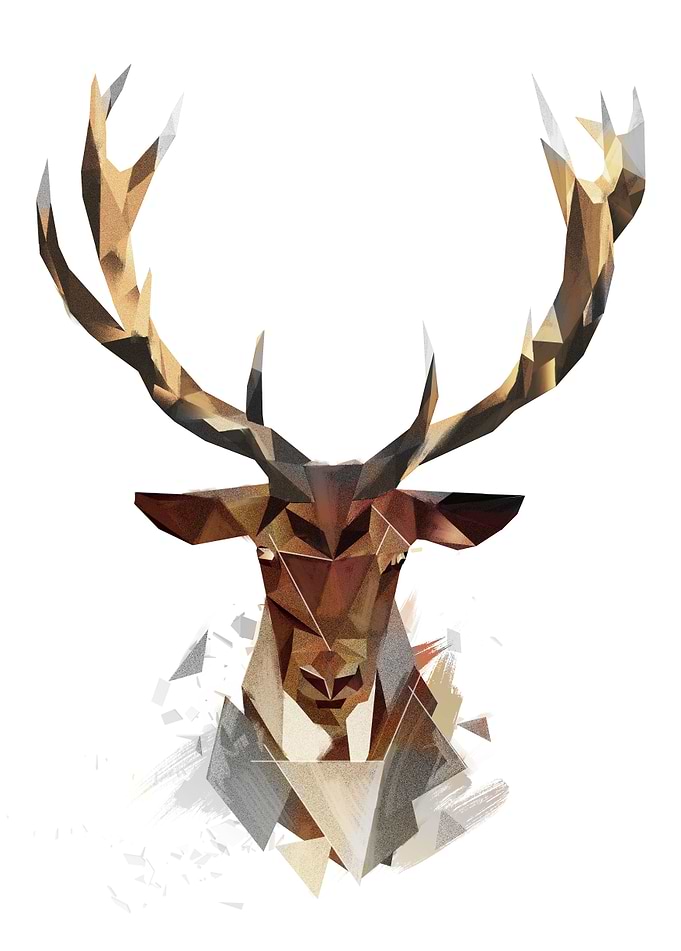 Deer Antlers 2