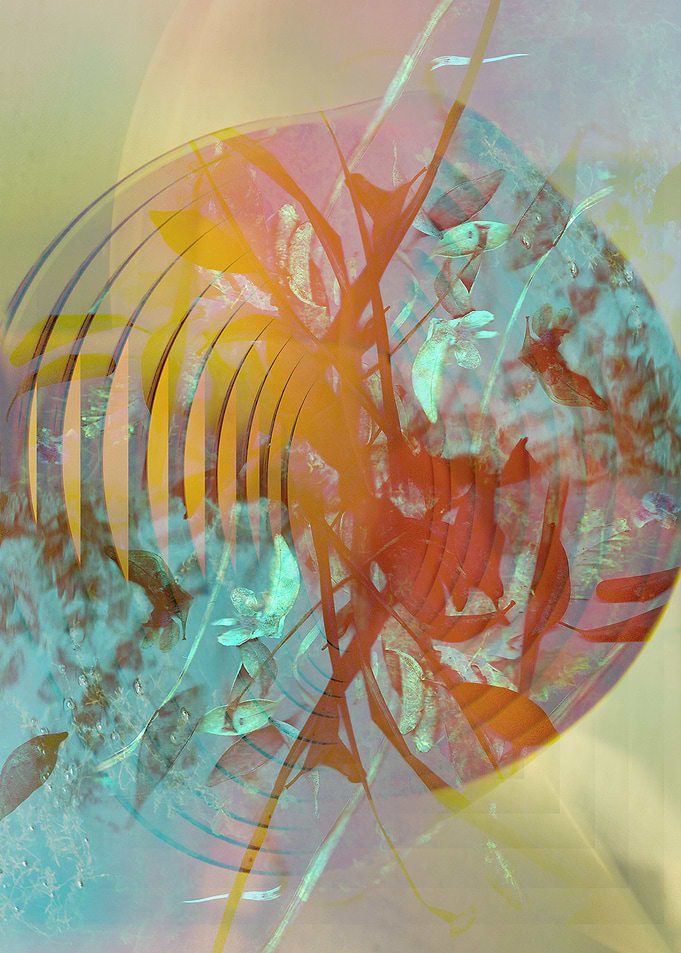 Shui