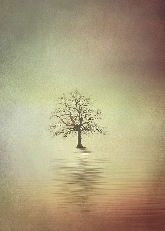 Solitude