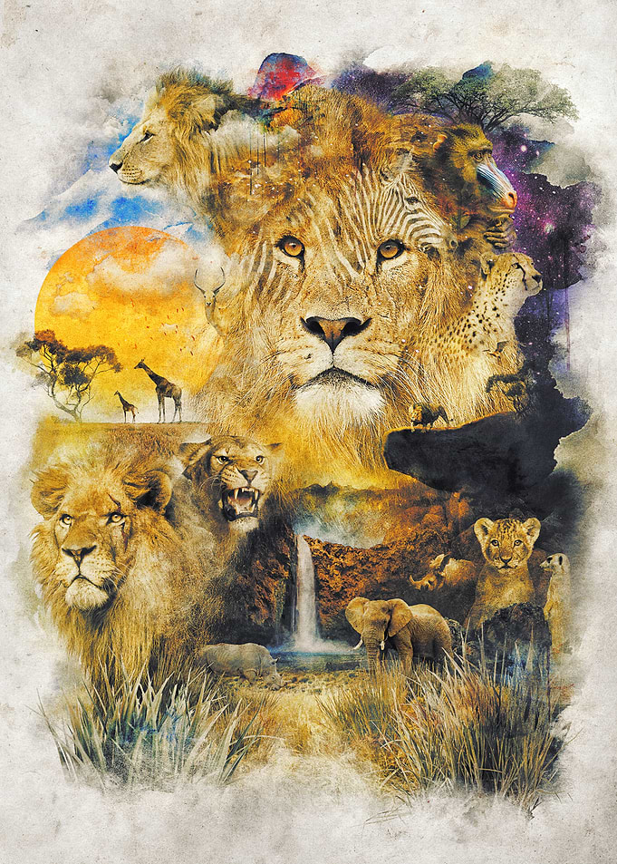 The Circle of Life