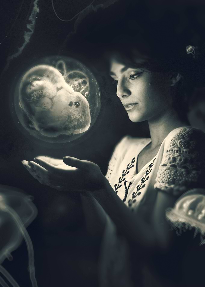 Incubation