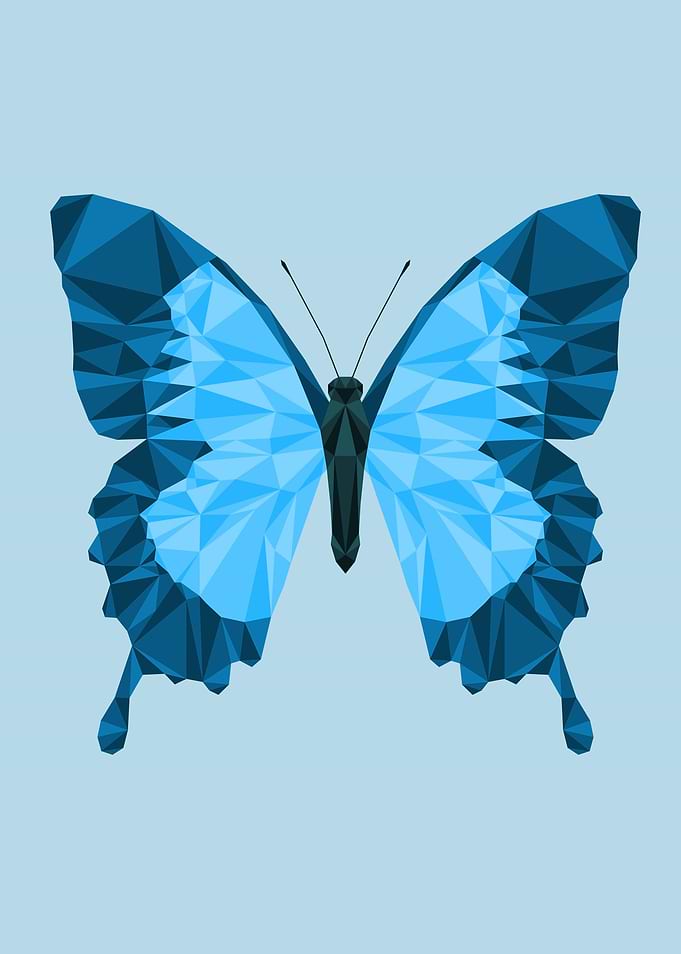 Geometric Butterfly