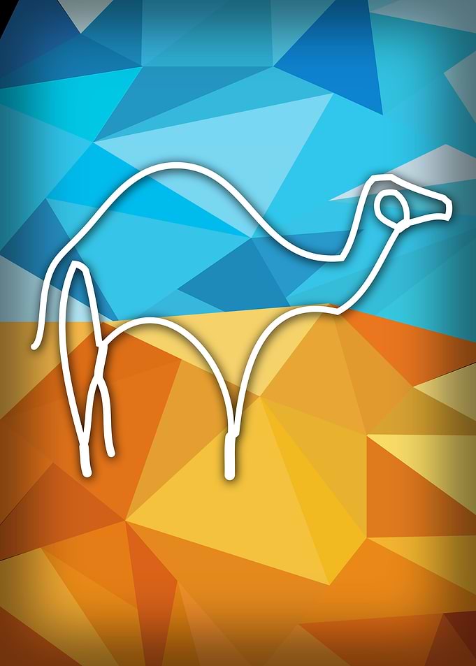 One-Line Camel