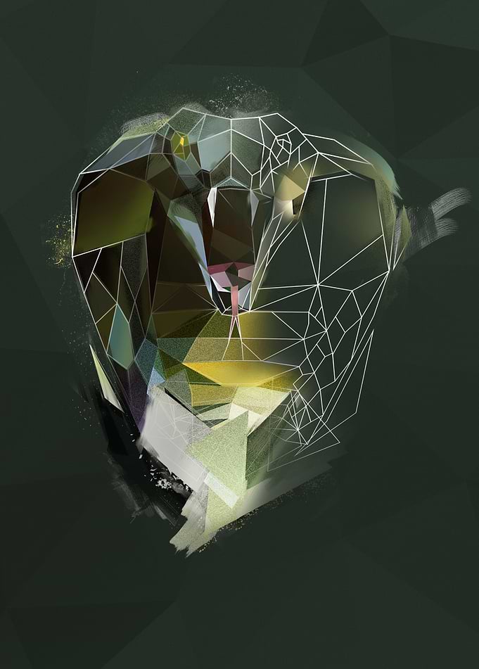 King Cobra - sketch