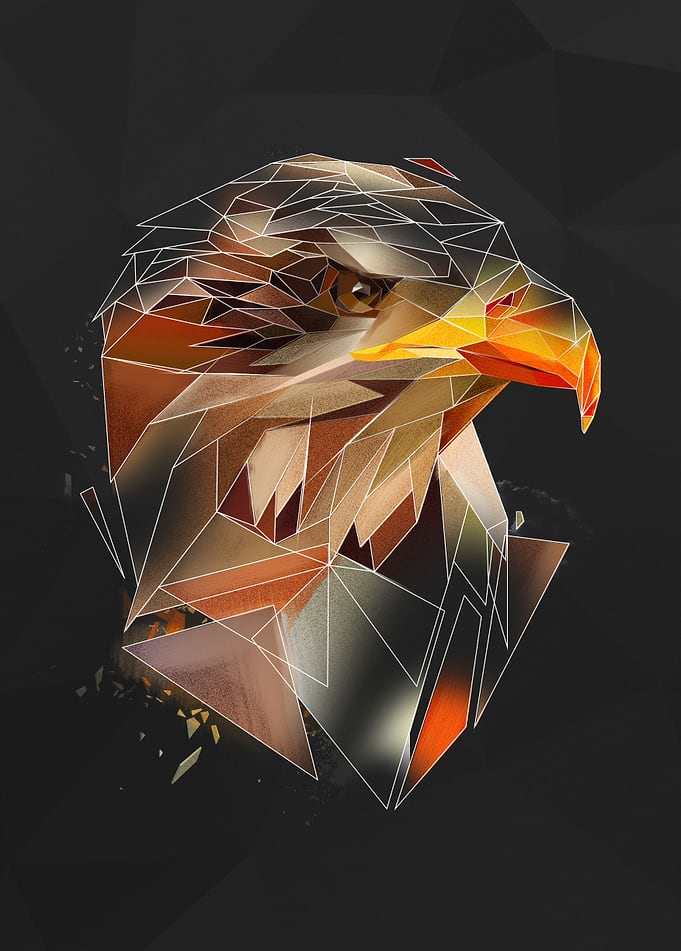 Eagle - sketch