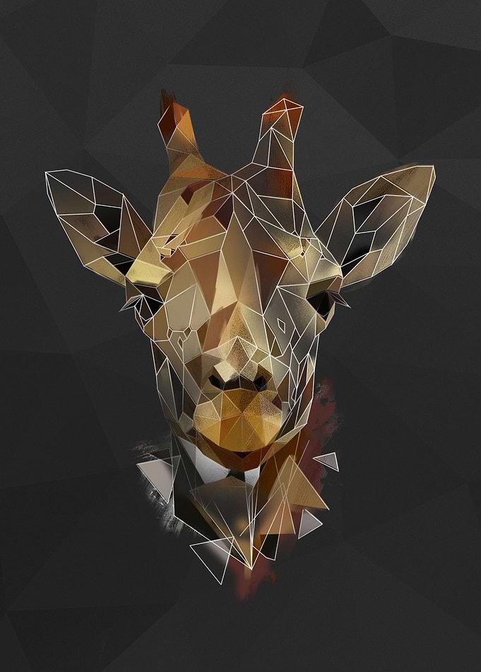 Giraffe - sketch