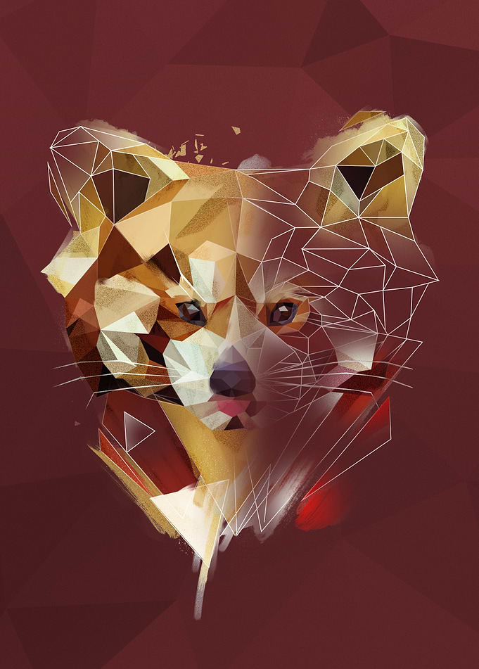 Red Panda - sketch
