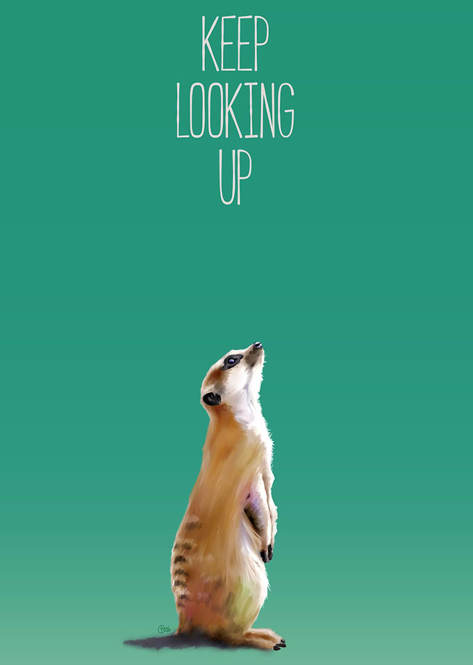 Keep Looking Up