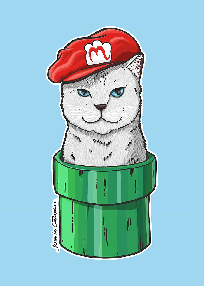 Meow Bro 1, born in the Cativersum