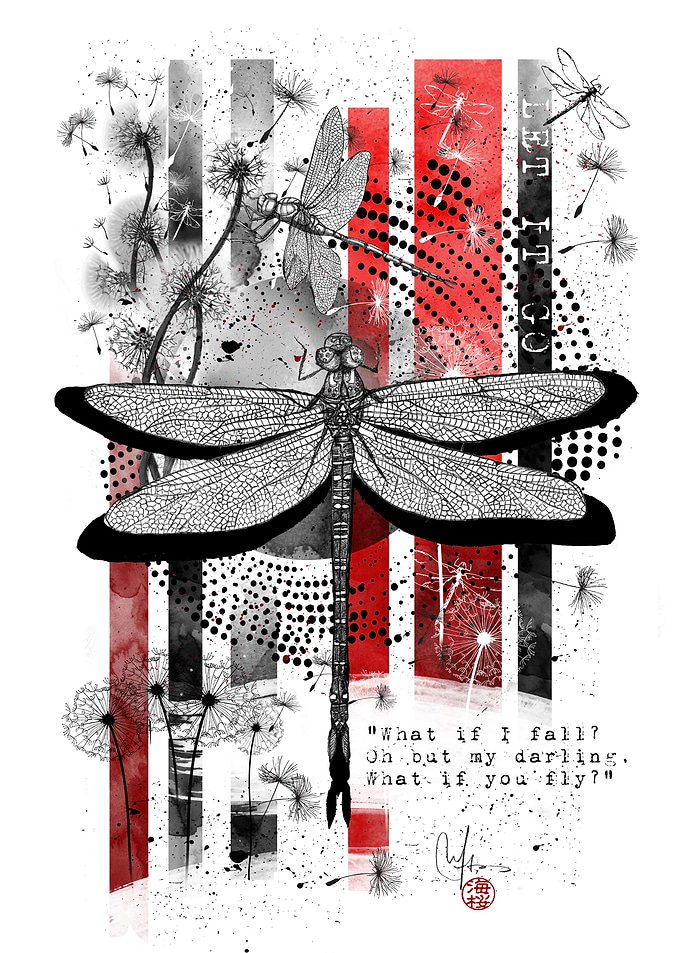 Fly