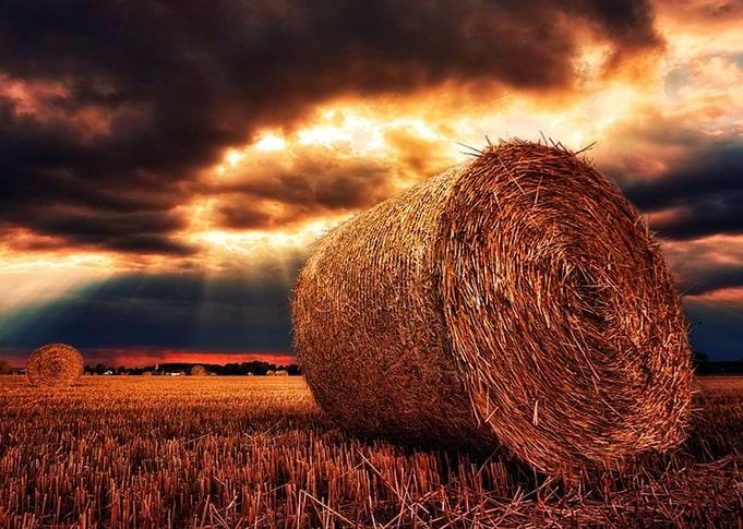 Hay Bale