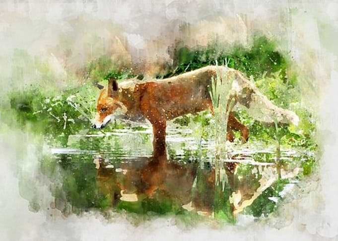 Fox Painting