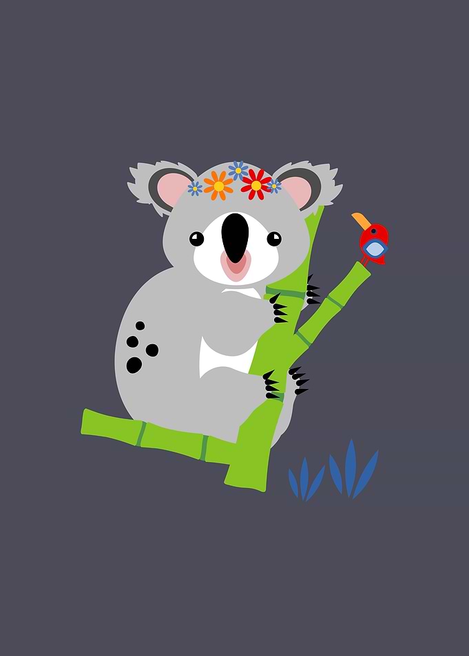 Lady Koala