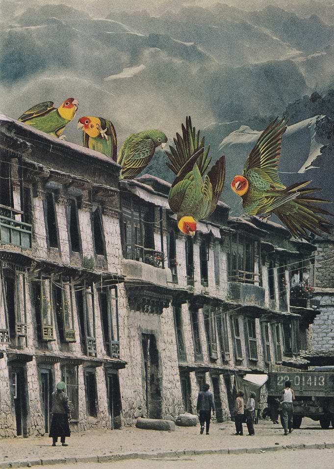 Visitors [collage]