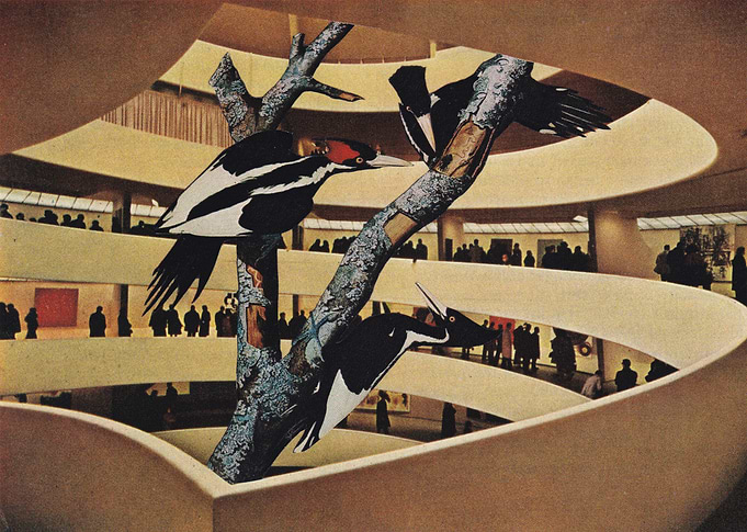 Art Museum [collage]