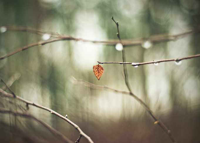 loneliness