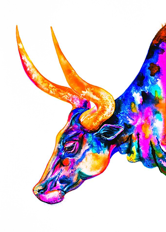 Ankole Longhorn