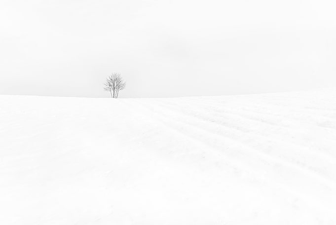 Loneliness