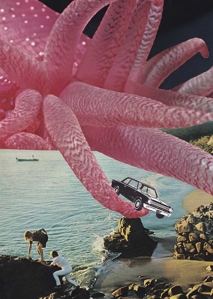Pinky [collage]