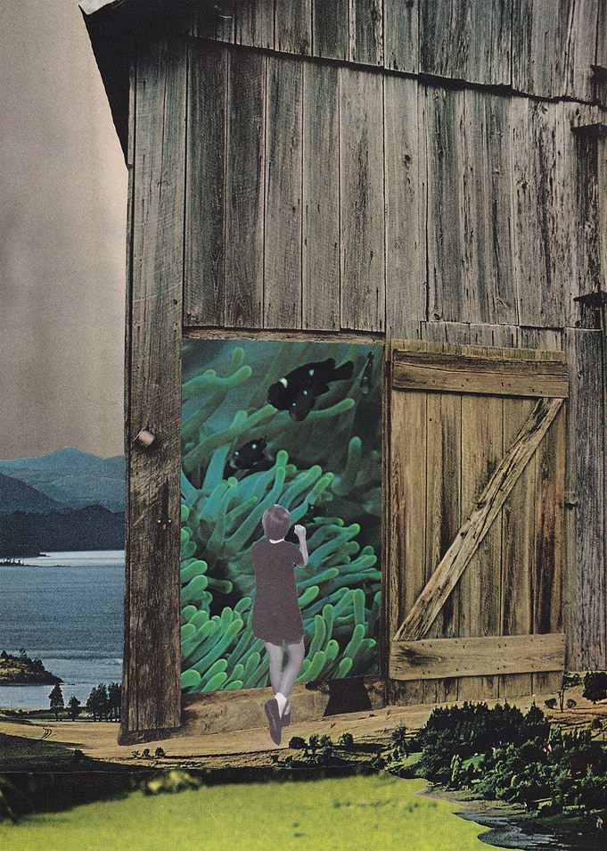 Aquarium [collage]