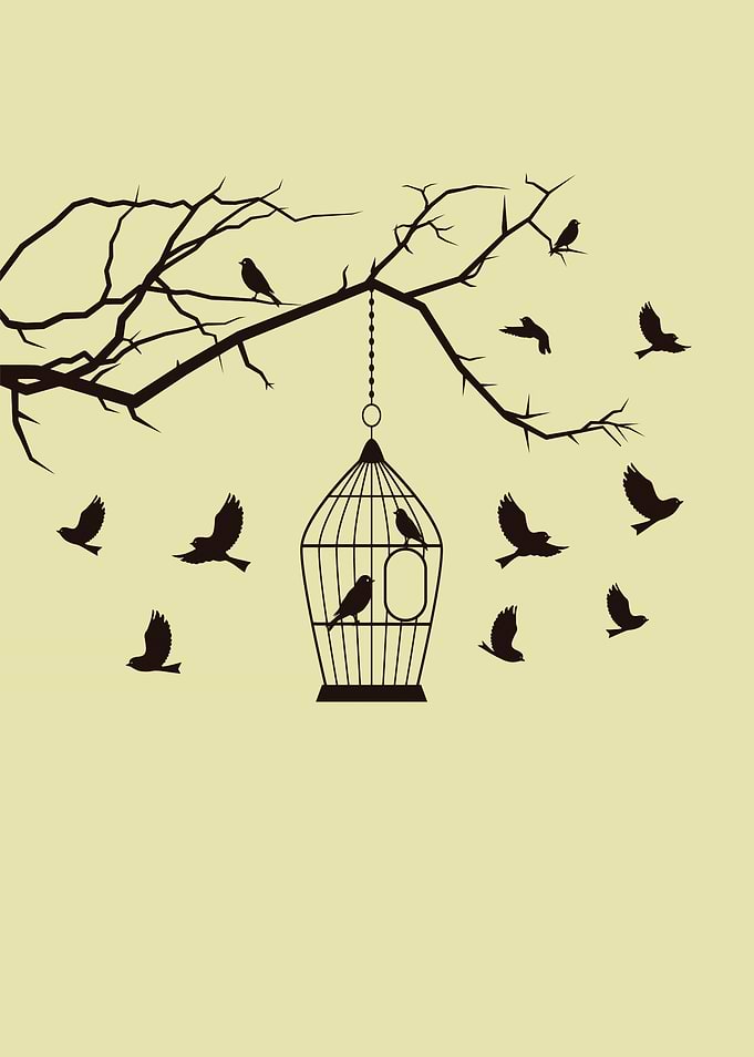 Birds - Pattern