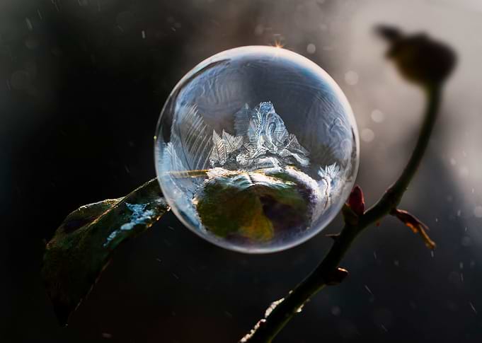 Frozen bubble on dried plant