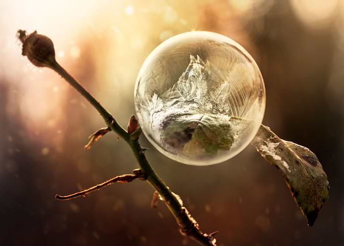Frozen soap bubble at early winter morning