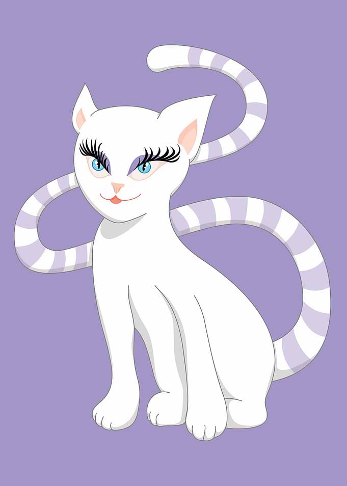 Beautiful White Cat