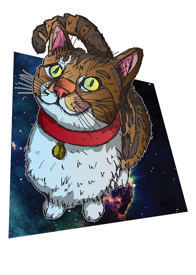 Grunge Cat Haru