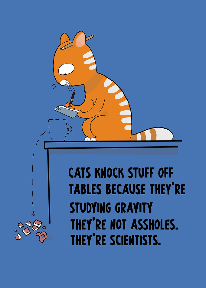 Clever Cat