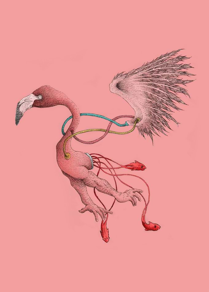 The Flamingo