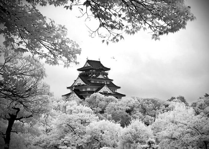 Osaka castle