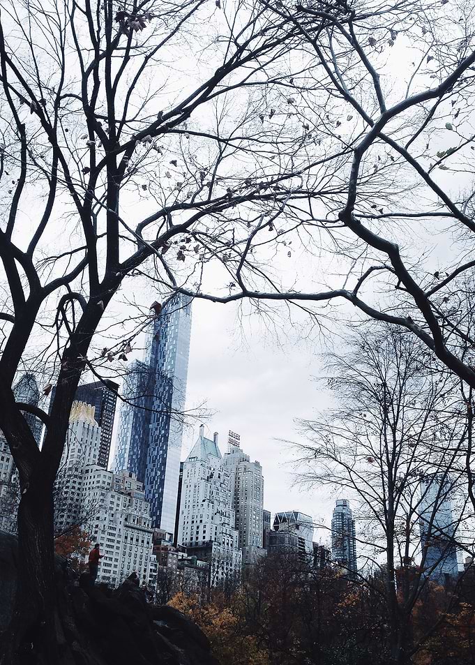 Park view