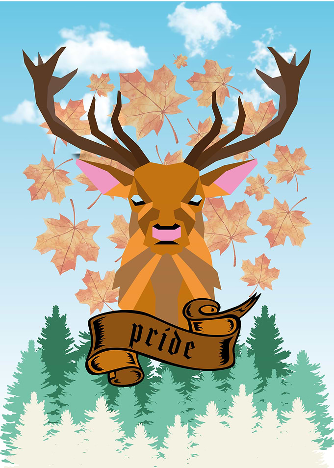 Pride deer in front of the forest