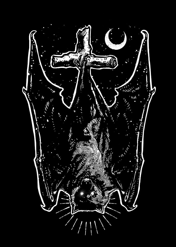 Bat Night