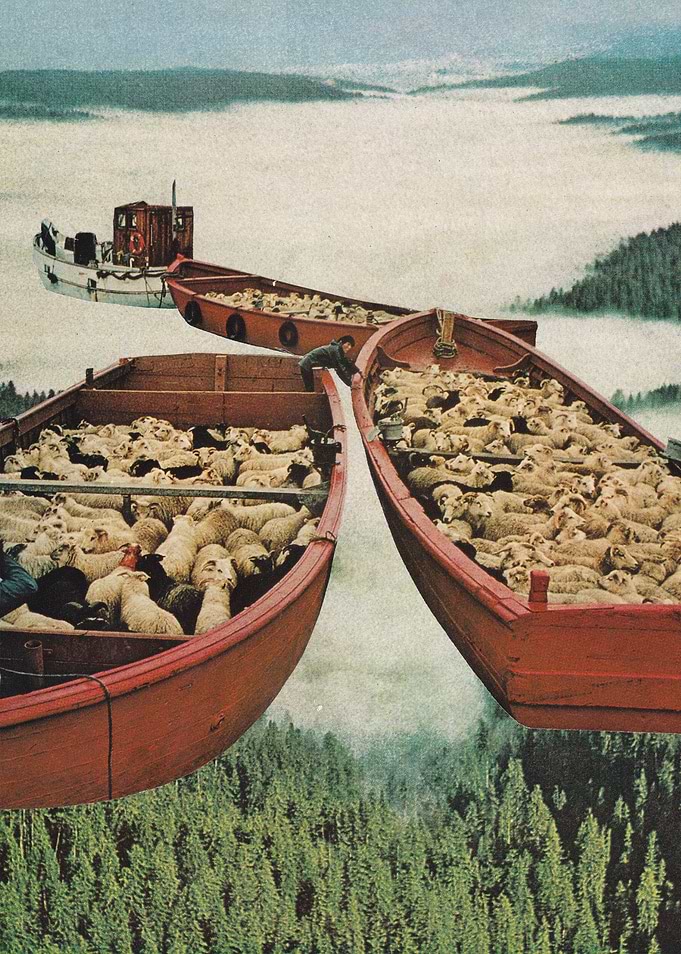Fleece [collage]