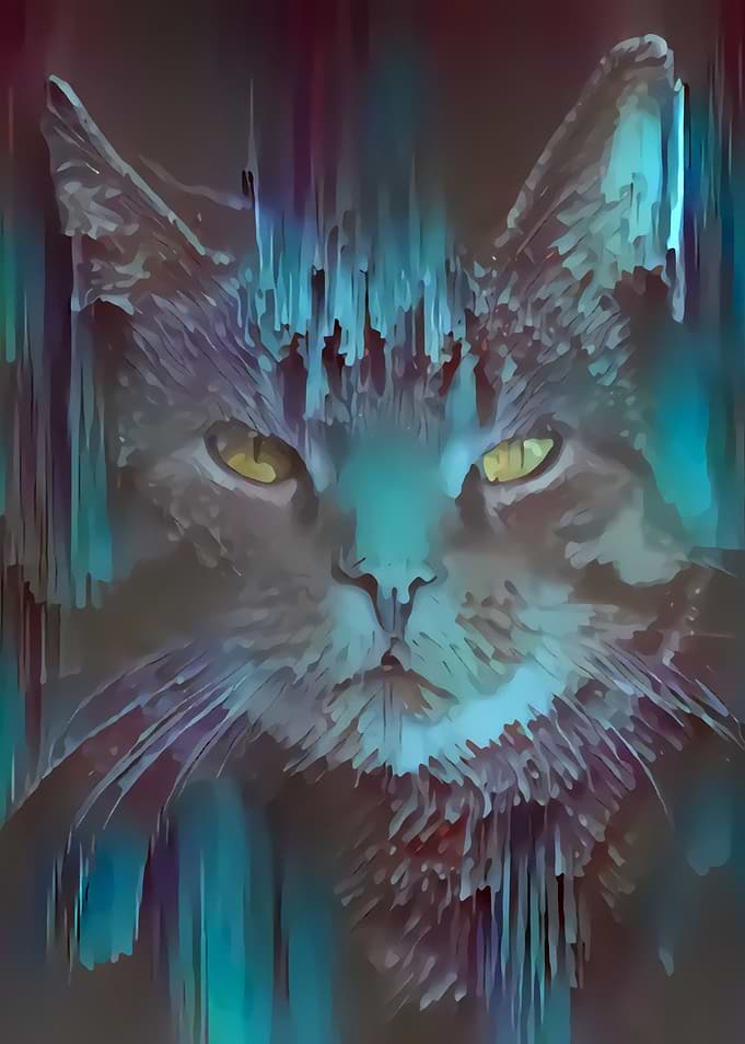 Alice's Cat