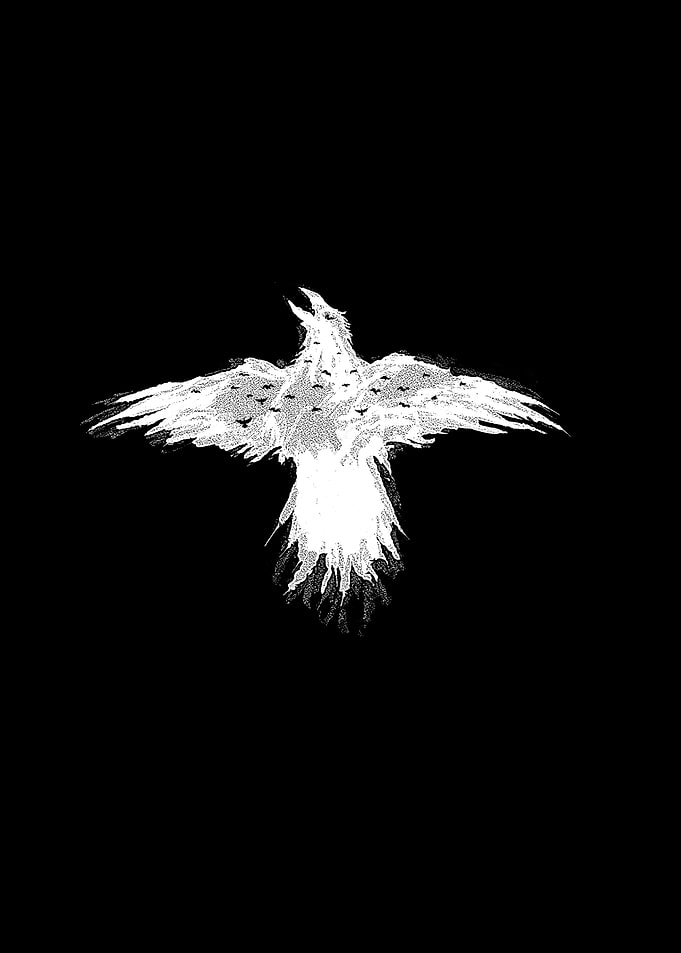 Flying Free