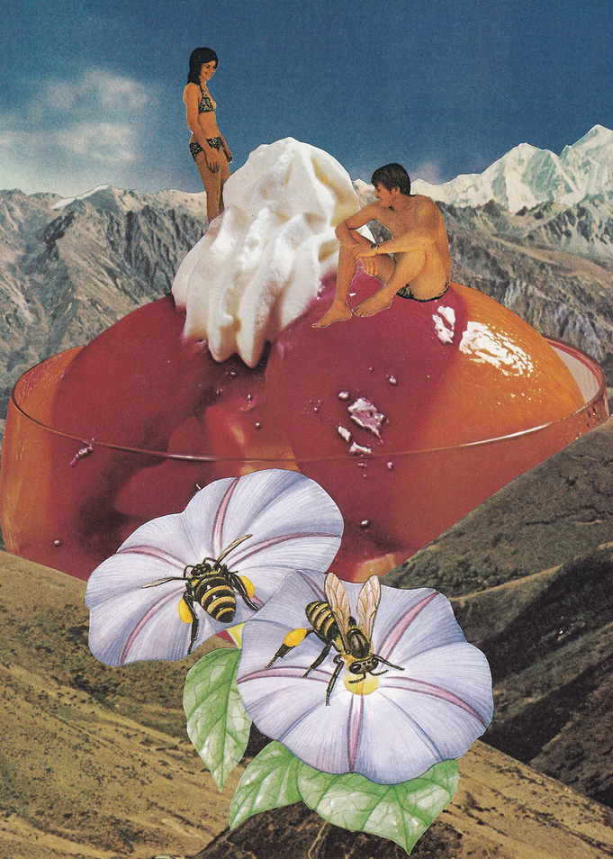 Sweet [collage]