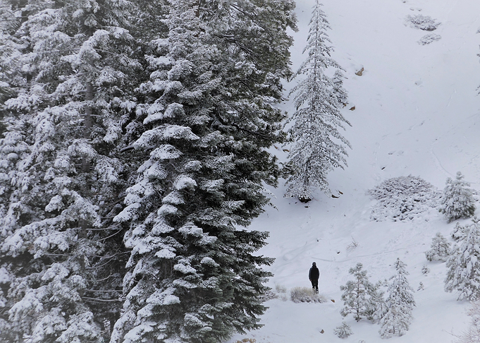 winter walk