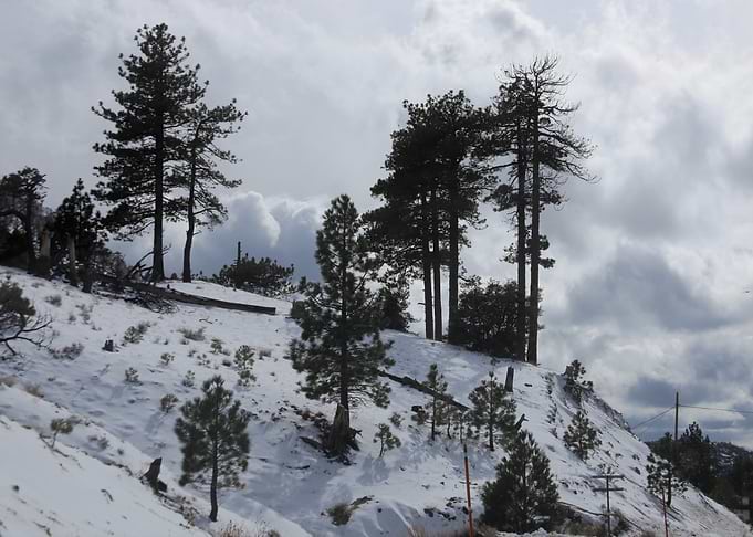 winter landscape
