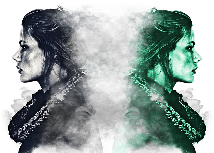 Fog-Twins