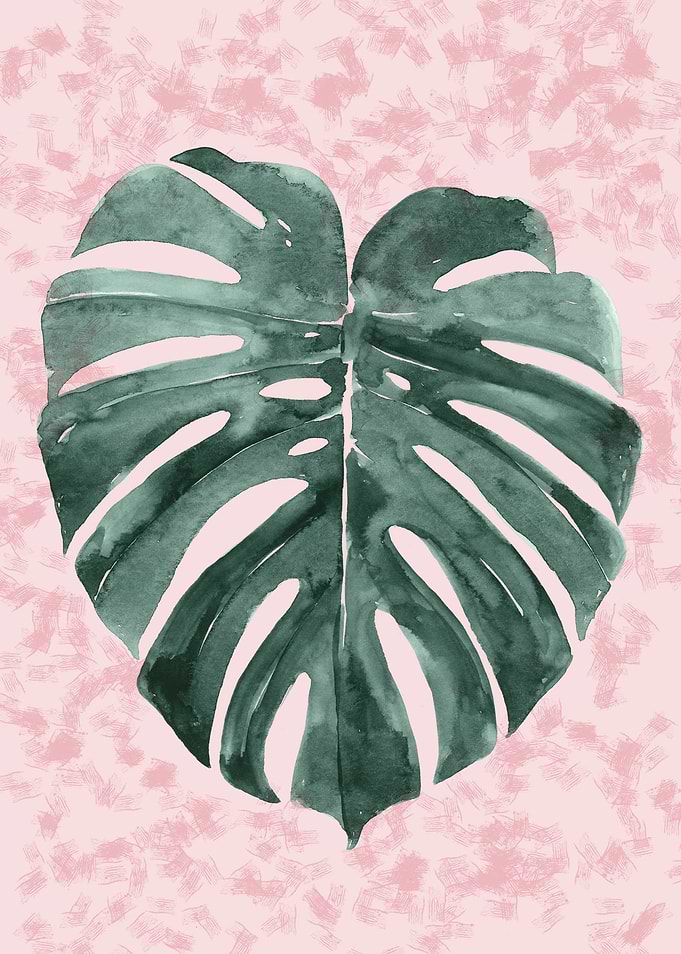 minimal plant6