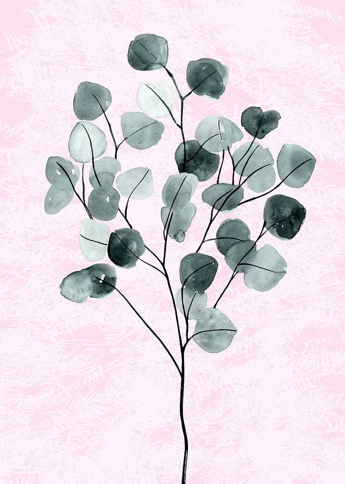 minimal plant8