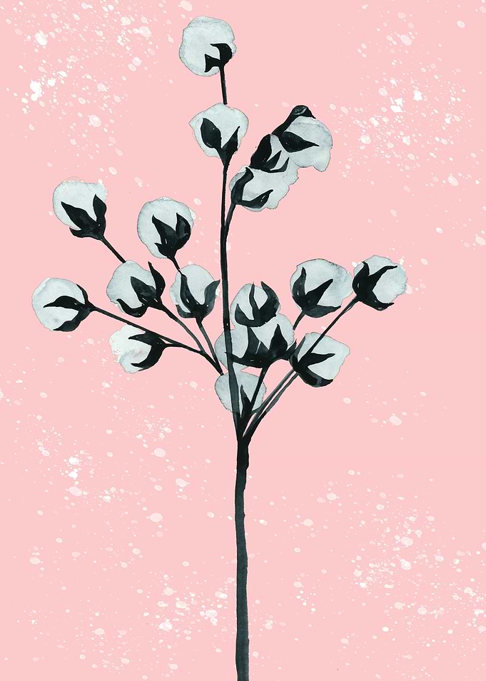minimal plant5